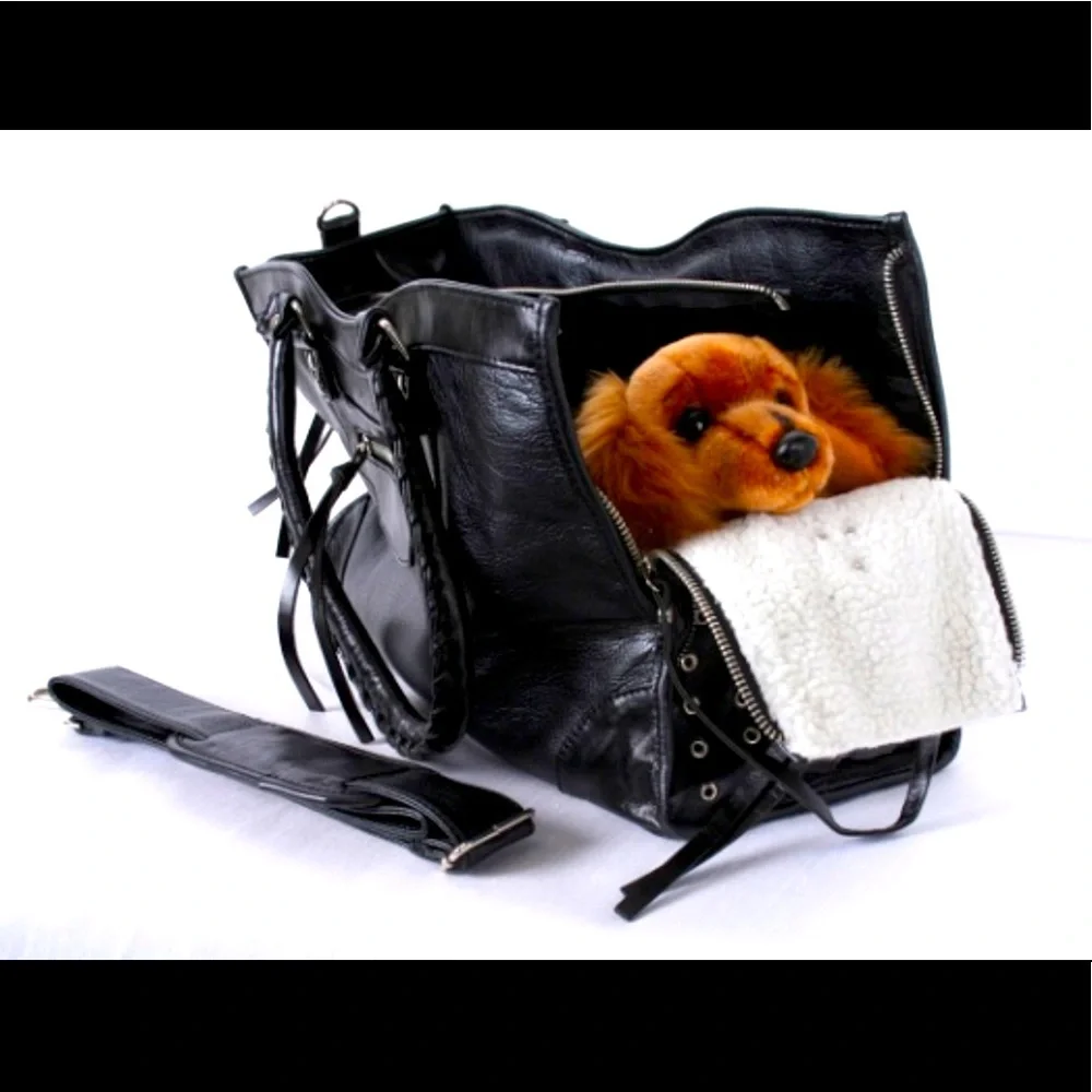 In search of this exact pet carrier